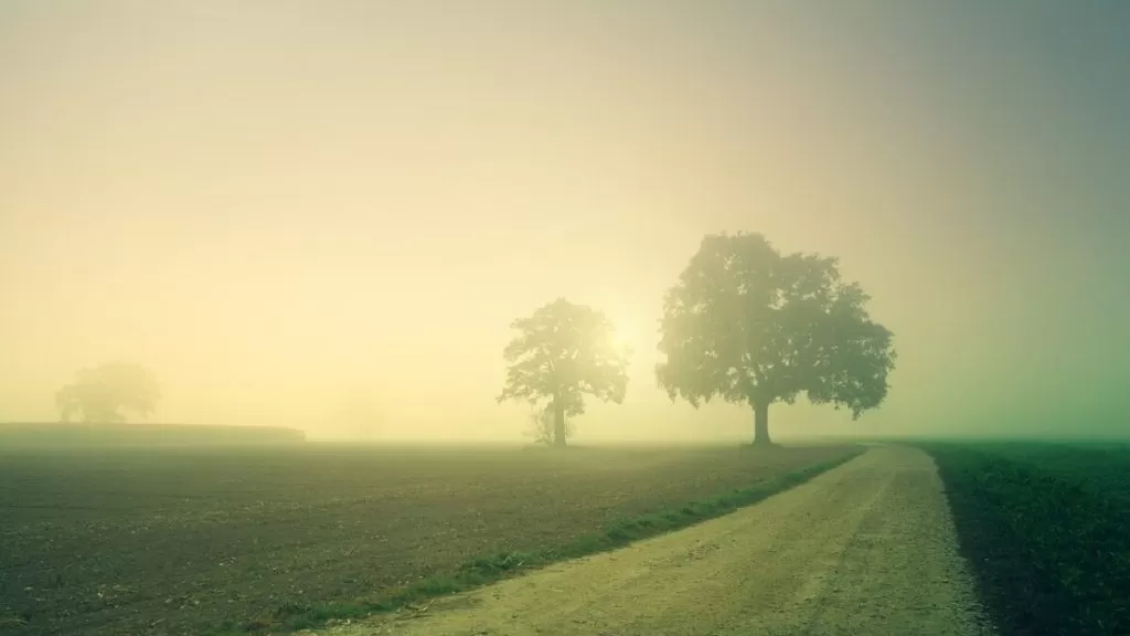neblina-inverno-nevoa-FOTO-Pixabay-1200x675