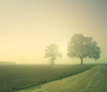 neblina-inverno-nevoa-FOTO-Pixabay-1200x675