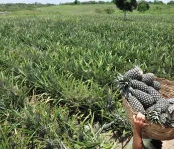 b004bea1-d736-4a88-8744-95758c36fbbb